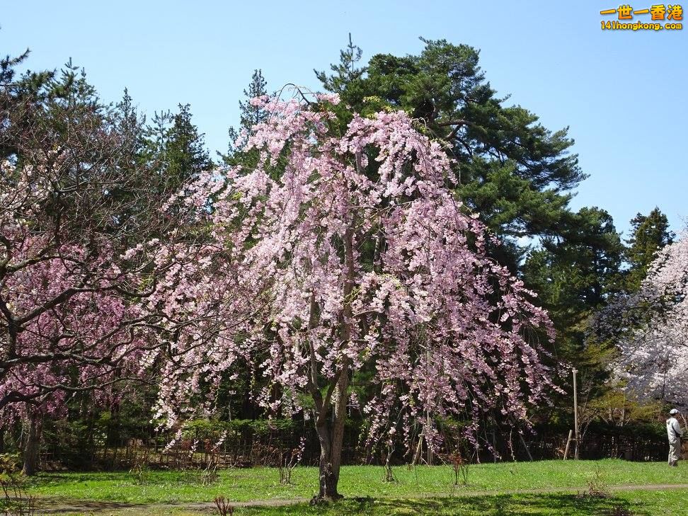 16.jpg