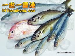 鮮魚