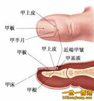 20111127101351315.jpg