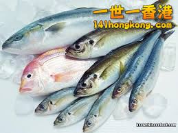 鮮魚
