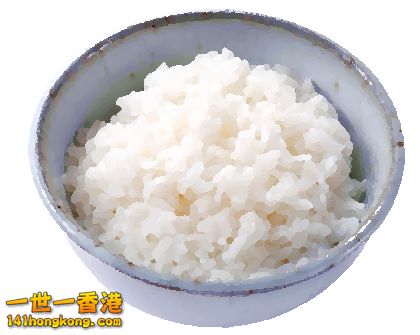米飯n.png