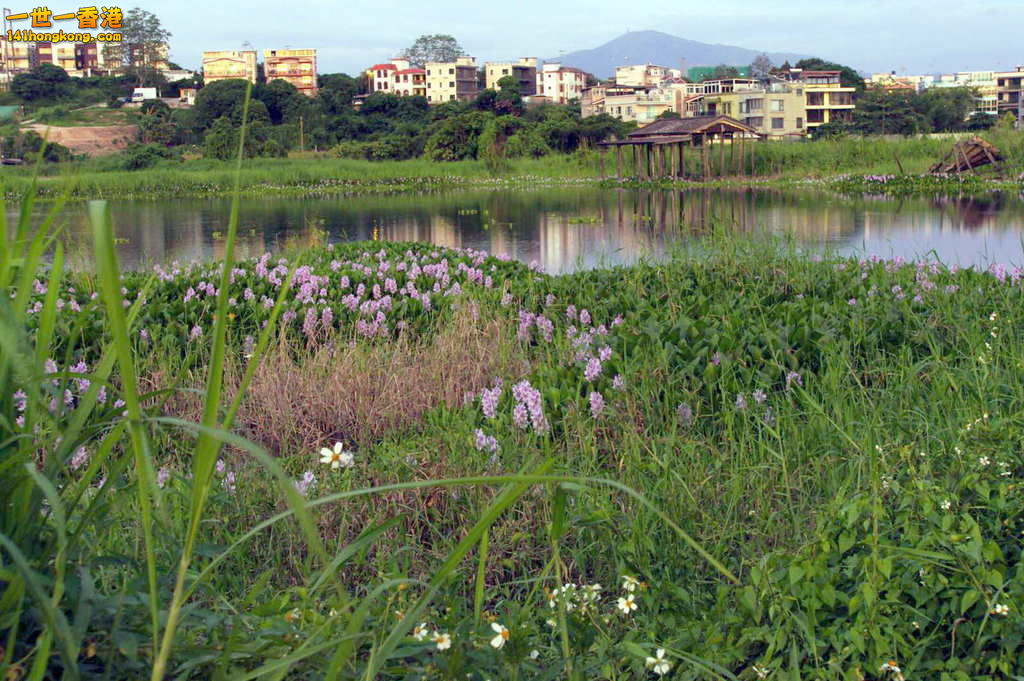 2017-05-23-PHOTO-00002010.jpg