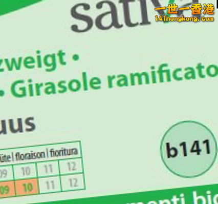 girasole-ramificato-b141-91677.jpg
