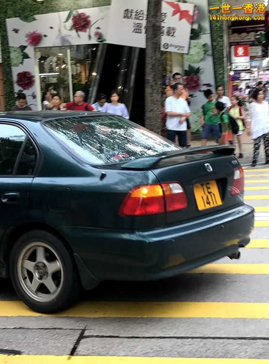TE1411.JPG
