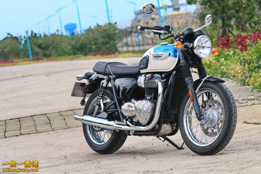 e74cea9f4e15981678f4853cf3bafb8e_XL (1) 835.jpg