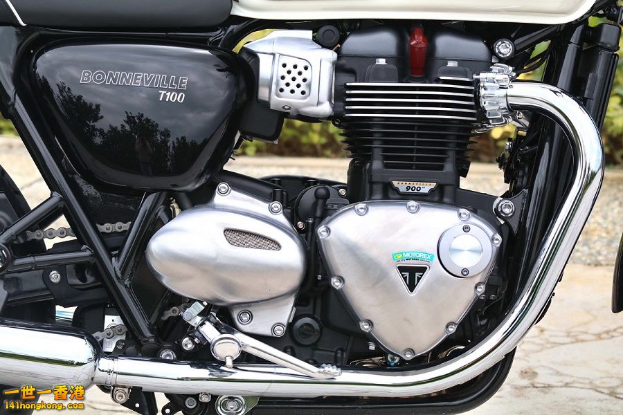 IMG_5861 (1) 900.jpg