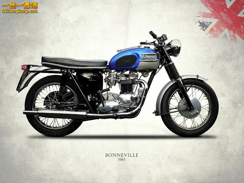 triumph-bonneville-t120-1965-mark-rogan (1) 800.jpg