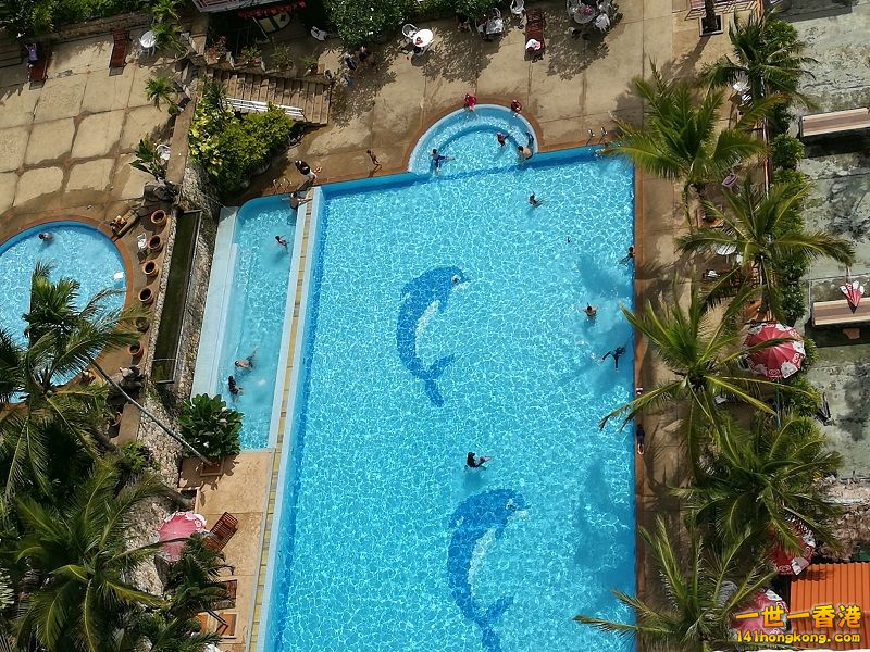 IMG_20170625_145308 800.jpg