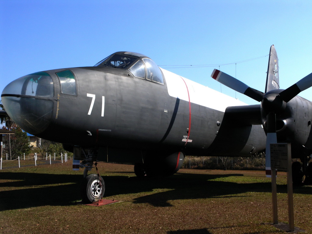 2a318e33.JPG