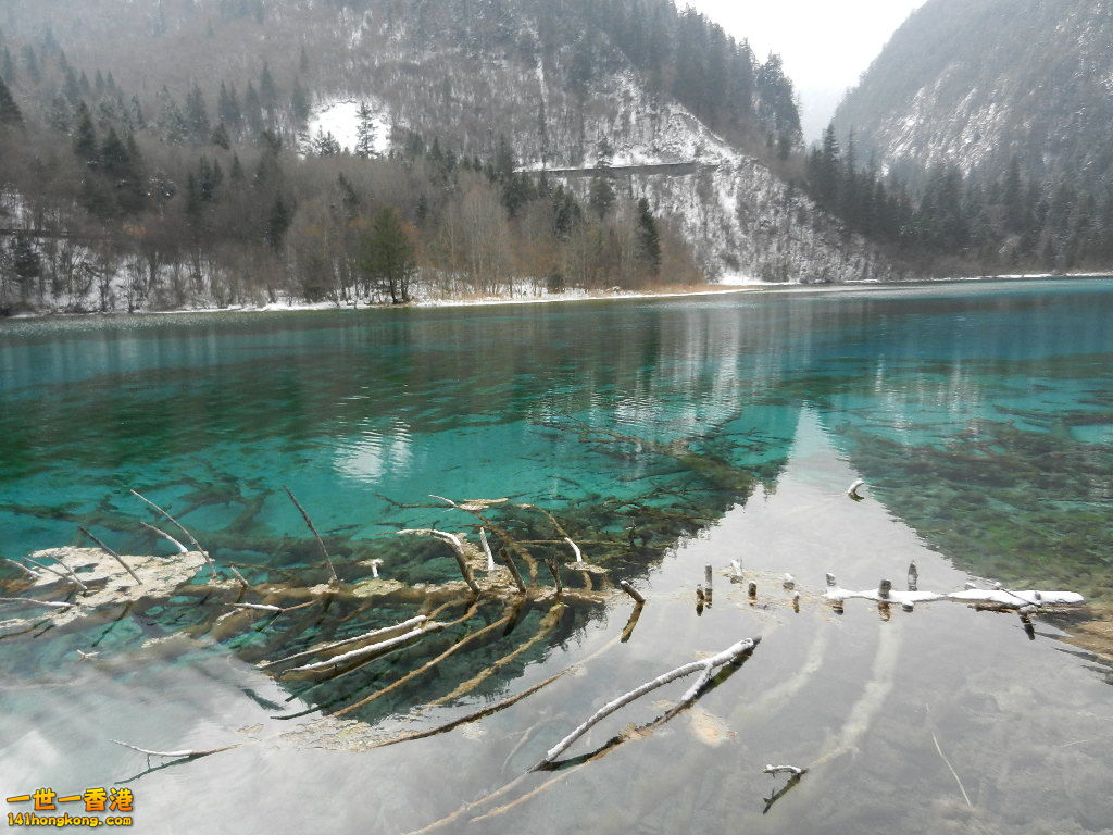 DSCN4551.JPG