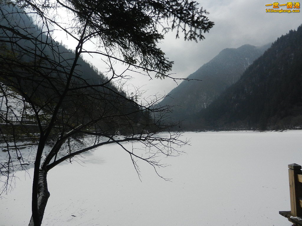 DSCN4591.JPG