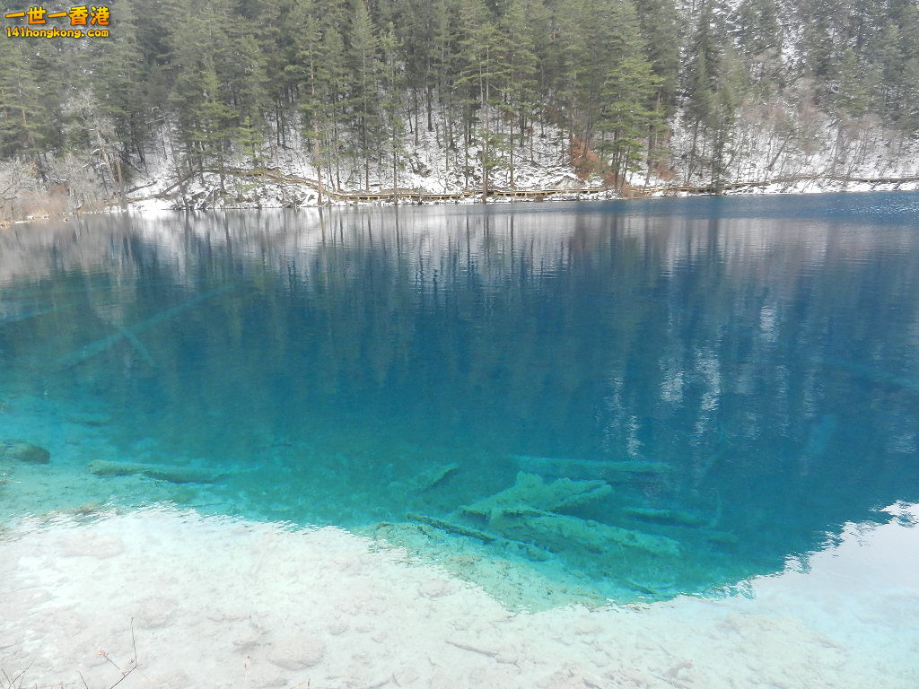 DSCN4330.JPG