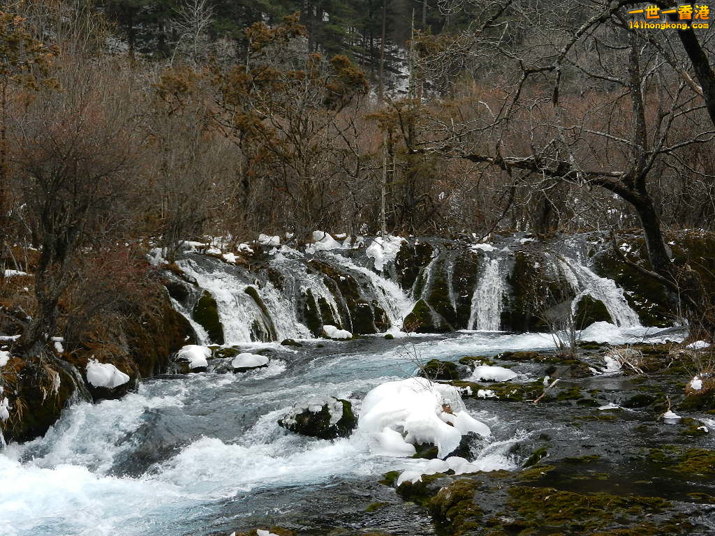 DSCN4382.JPG