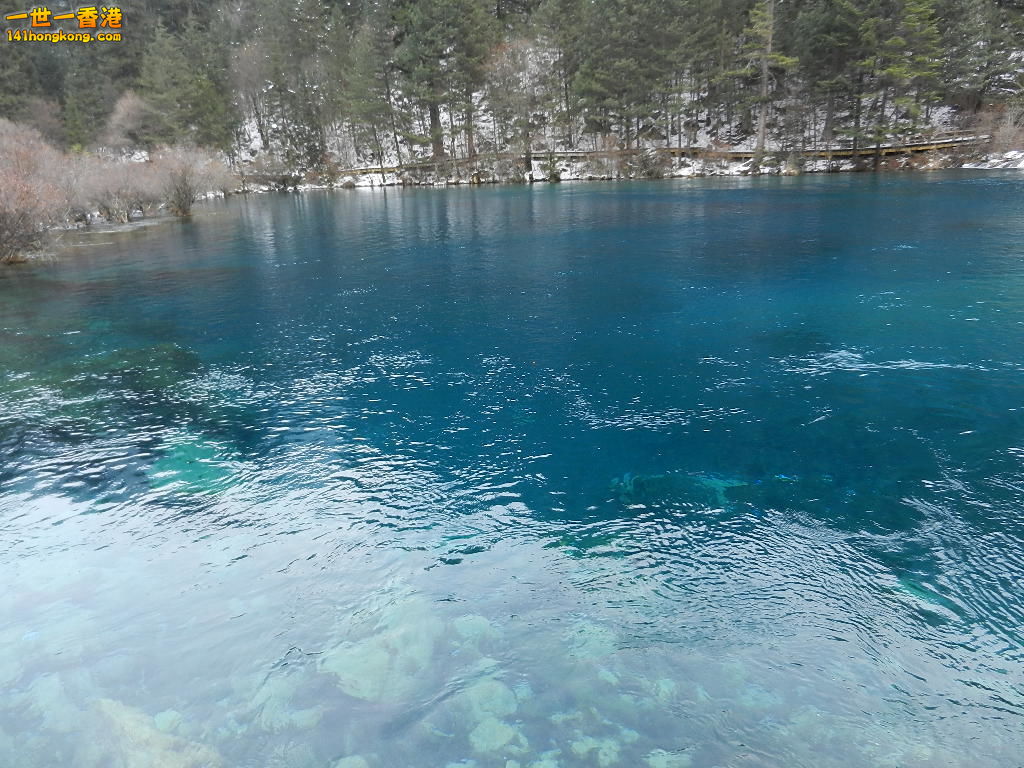 DSCN4386.JPG