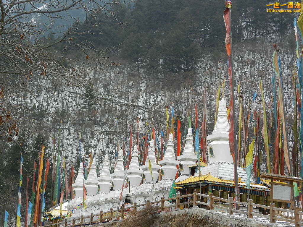DSCN4432.JPG