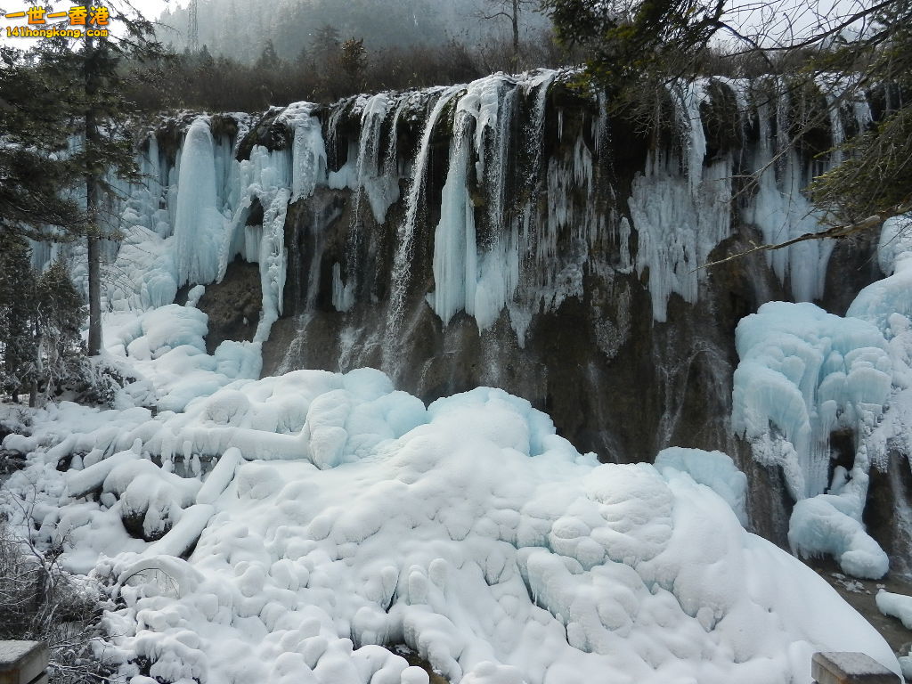 DSCN4519.JPG