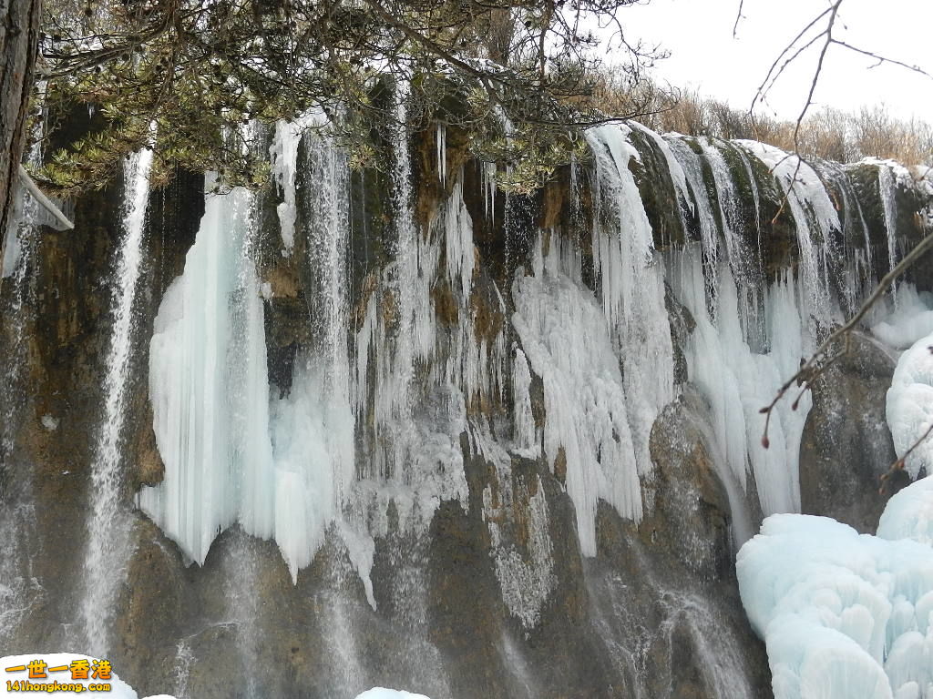DSCN4536.JPG