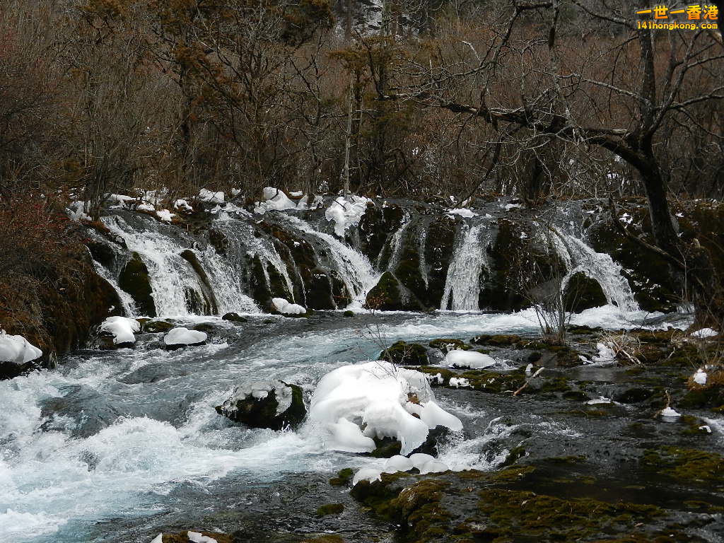 DSCN4381.JPG