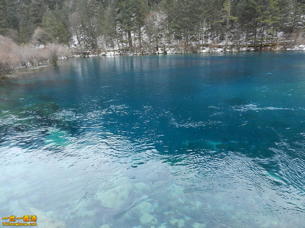 DSCN4386.JPG