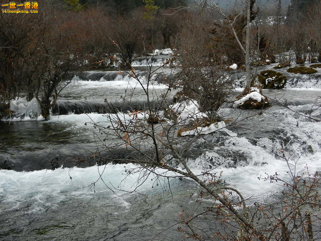 DSCN4416.JPG