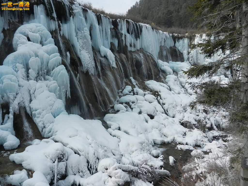 DSCN4523.JPG