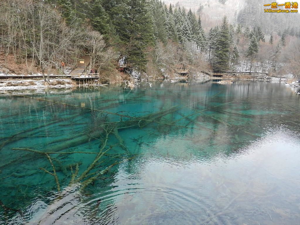 DSCN4543.JPG