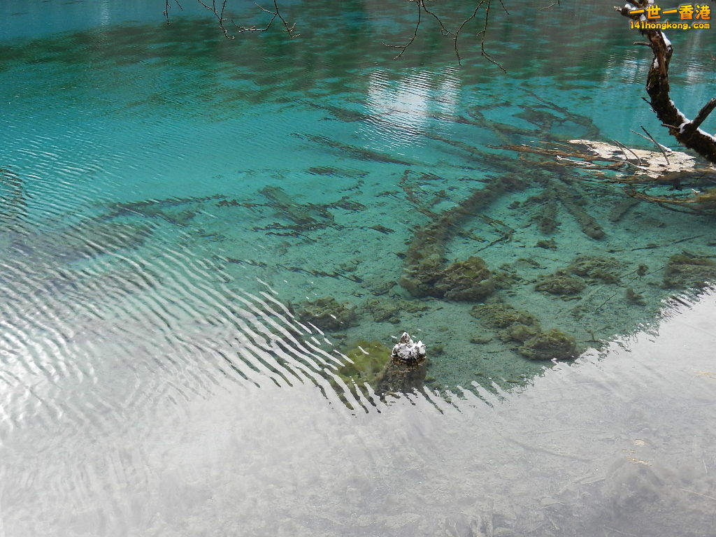 DSCN4545.JPG