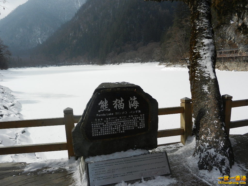 DSCN4593.JPG