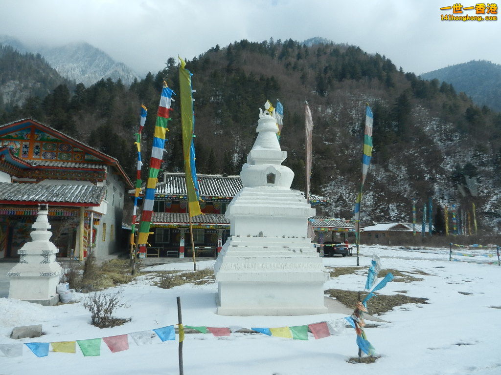 DSCN4611.JPG