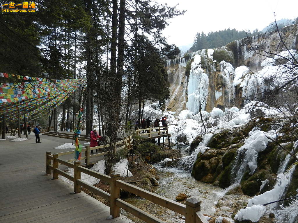 DSCN4705.JPG