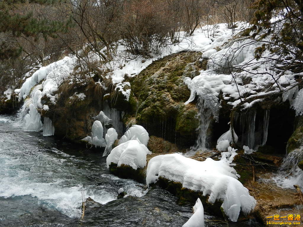 DSCN4755.JPG
