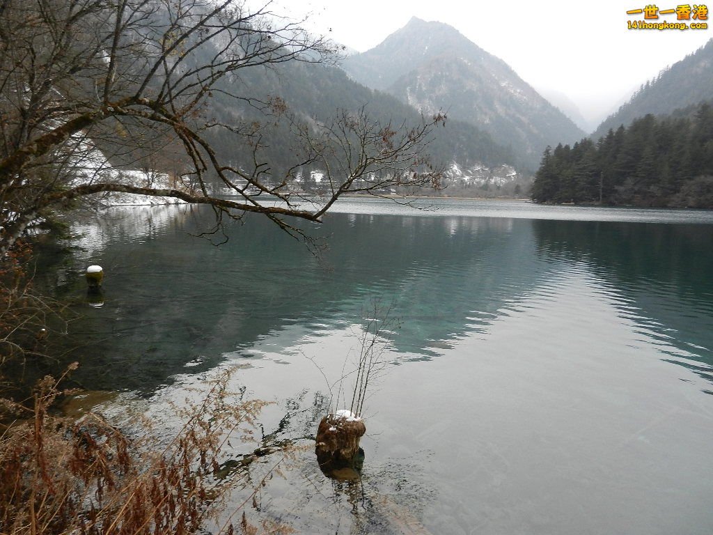 DSCN4779.JPG