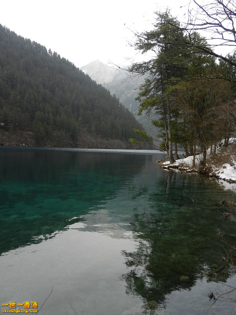 DSCN4783.JPG
