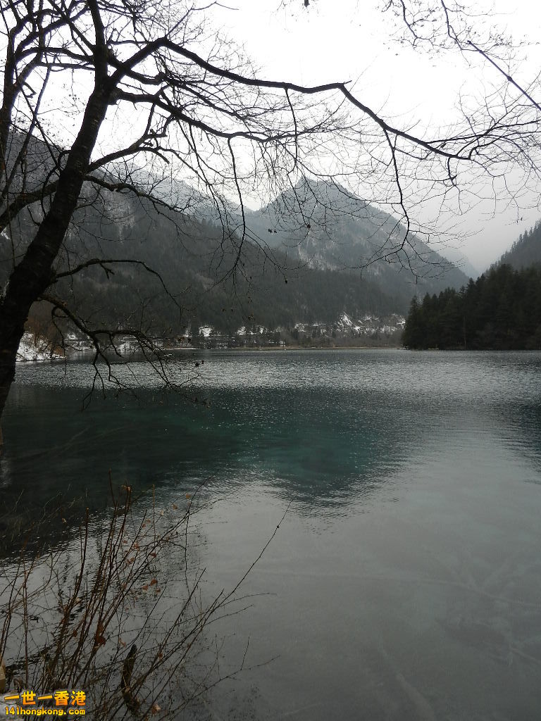 DSCN4785.JPG