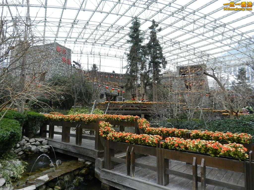 DSCN4446.JPG