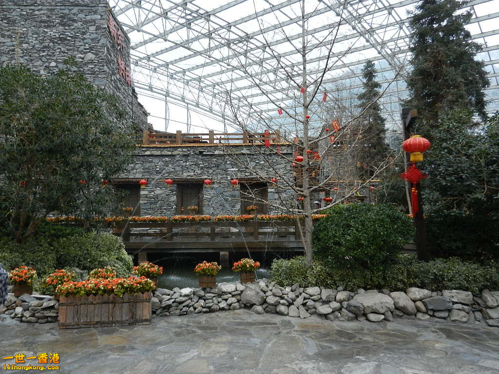DSCN4447.JPG