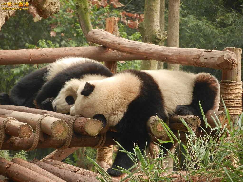 DSCN3998.JPG
