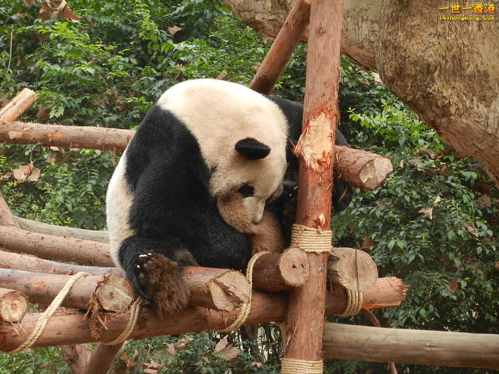 DSCN4021.JPG