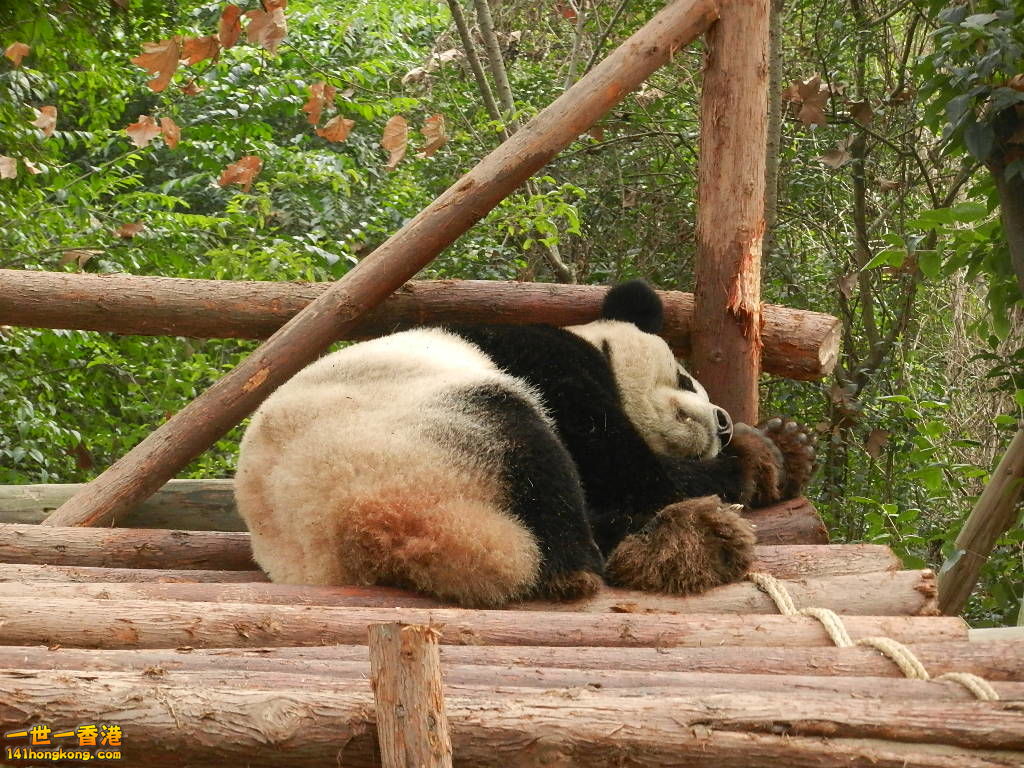 DSCN4024.JPG