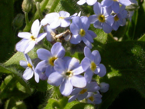 PN011.jpg