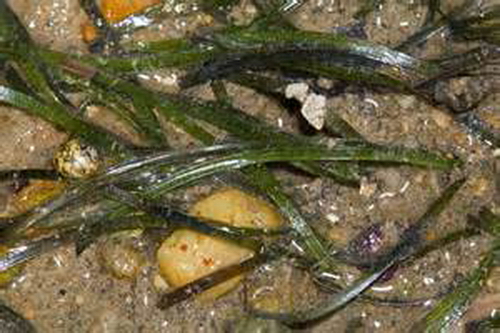 PN012.jpg