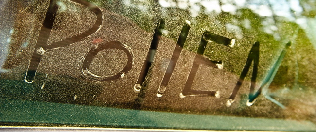 PN008.jpg