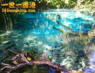 2017-08-18 18.36.37.png