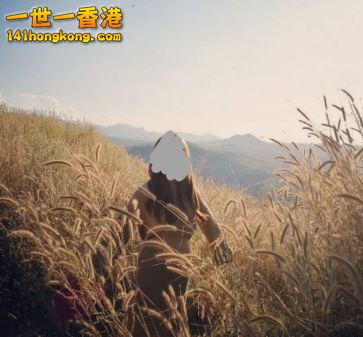 2017-08-18 18.35.13.png