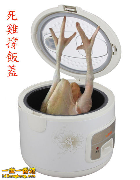 死鸡撑饭盖.jpg