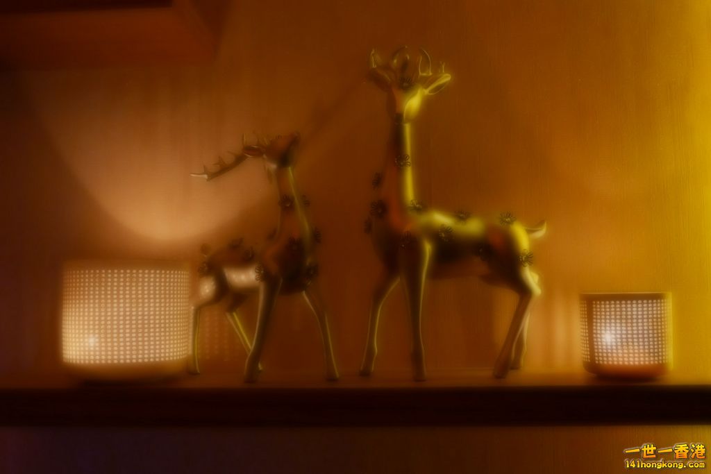 P1040007 [1024x768].JPG