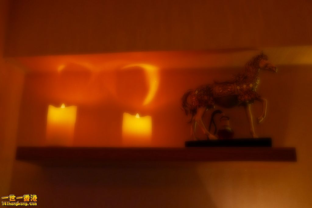 P1040008 [1024x768].JPG