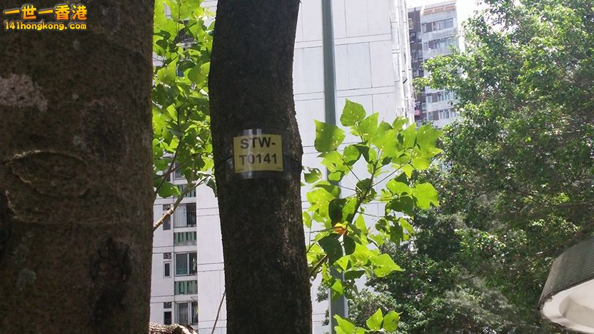 相片1140.jpg
