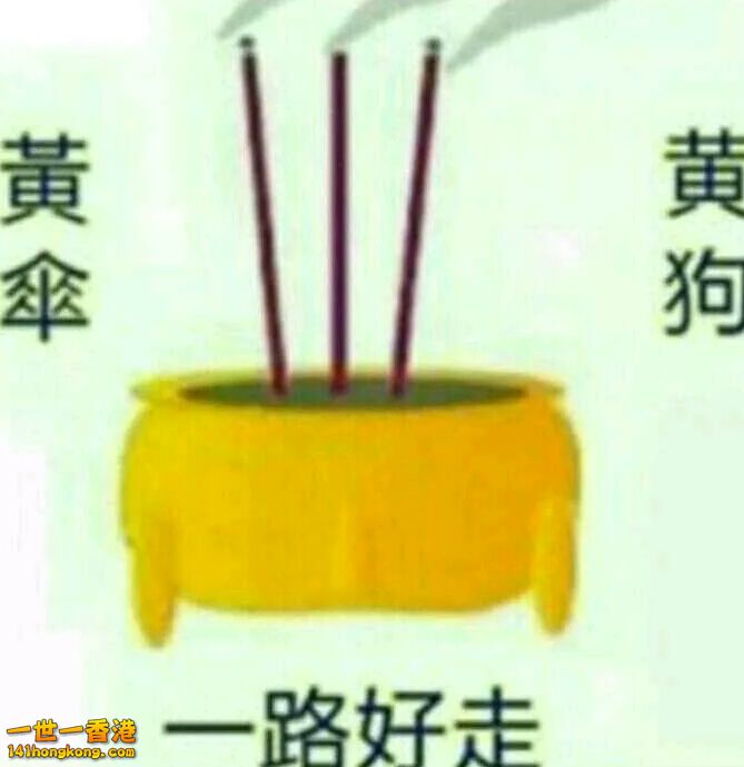 IMG_20170929_084946.jpg
