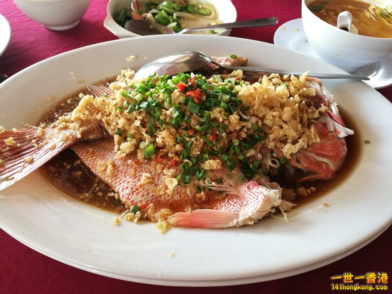 IMG_20170526_125533 800.jpg